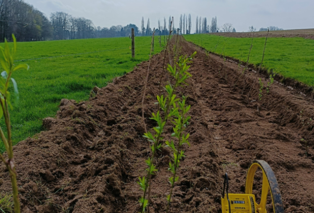 Plantc La biodiversité dans l’entreprise au Trakk (1)